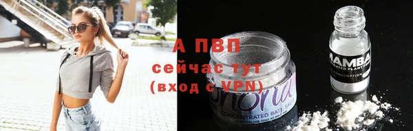 PSILOCYBIN Белокуриха