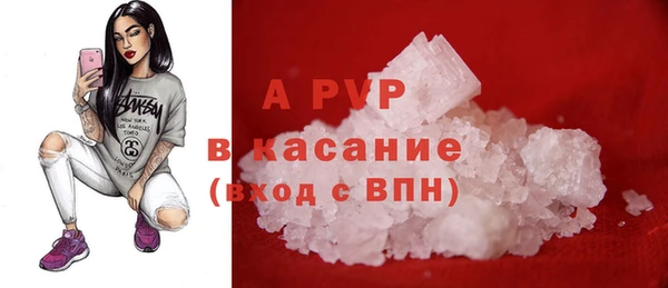 мяу мяу мука Баксан