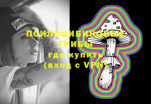 PSILOCYBIN Белокуриха