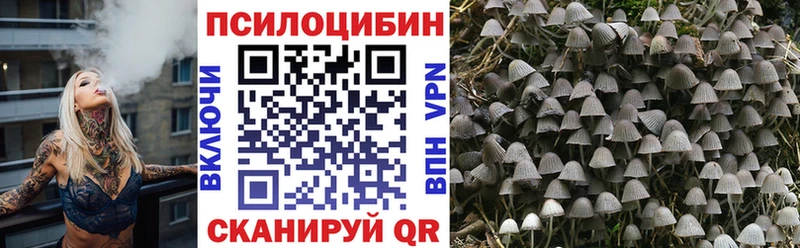 Галлюциногенные грибы ЛСД  Белинский 